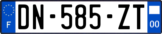 DN-585-ZT