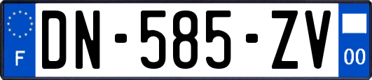 DN-585-ZV