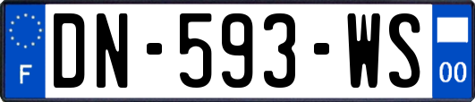 DN-593-WS