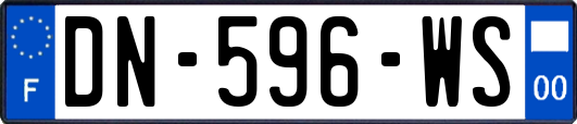 DN-596-WS