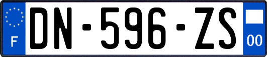 DN-596-ZS