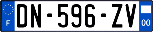 DN-596-ZV