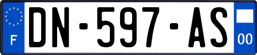 DN-597-AS