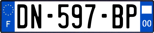 DN-597-BP