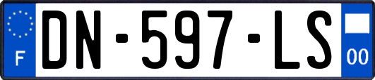 DN-597-LS