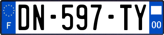 DN-597-TY
