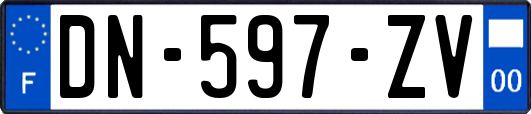 DN-597-ZV