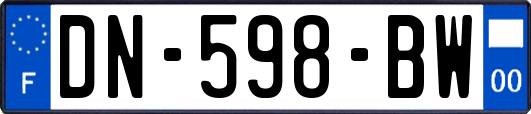 DN-598-BW