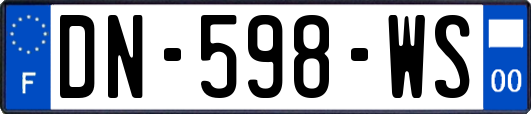 DN-598-WS