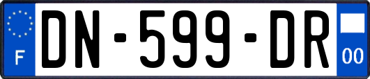 DN-599-DR