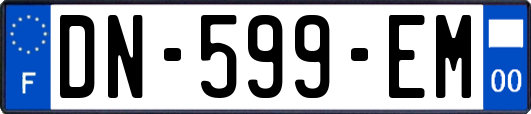 DN-599-EM