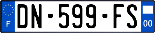 DN-599-FS