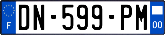 DN-599-PM