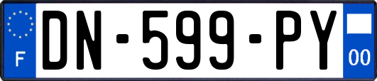 DN-599-PY