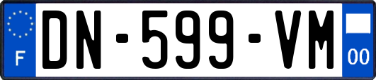 DN-599-VM