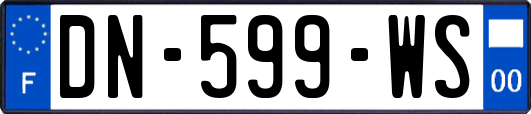 DN-599-WS