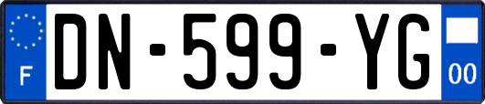 DN-599-YG