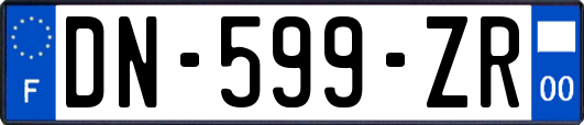 DN-599-ZR