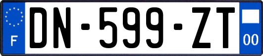 DN-599-ZT