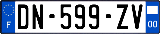 DN-599-ZV