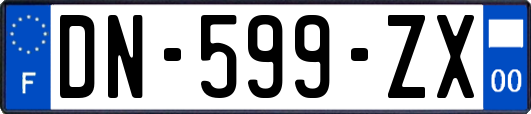 DN-599-ZX