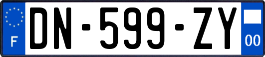 DN-599-ZY