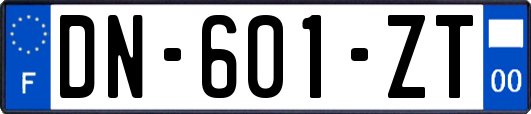 DN-601-ZT