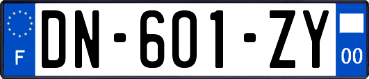 DN-601-ZY