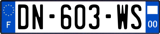 DN-603-WS