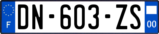 DN-603-ZS