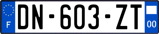 DN-603-ZT