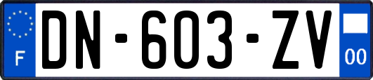 DN-603-ZV