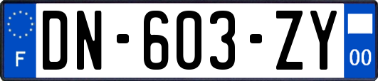 DN-603-ZY