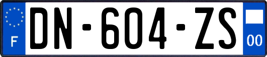 DN-604-ZS