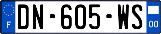 DN-605-WS