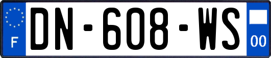DN-608-WS
