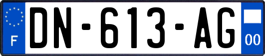 DN-613-AG