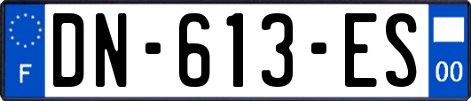 DN-613-ES