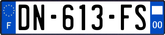 DN-613-FS