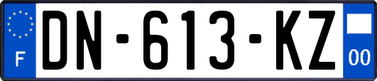 DN-613-KZ