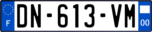 DN-613-VM