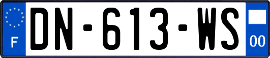 DN-613-WS