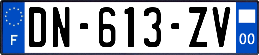 DN-613-ZV