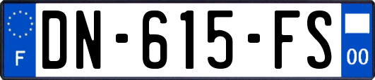 DN-615-FS