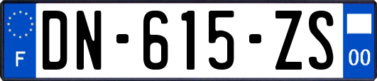 DN-615-ZS