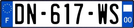 DN-617-WS