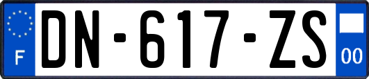 DN-617-ZS