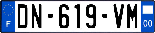 DN-619-VM