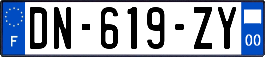 DN-619-ZY