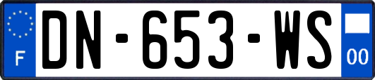DN-653-WS